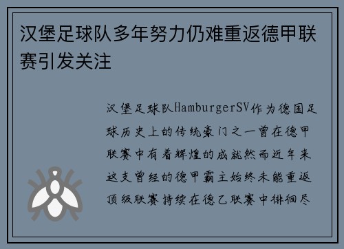 汉堡足球队多年努力仍难重返德甲联赛引发关注